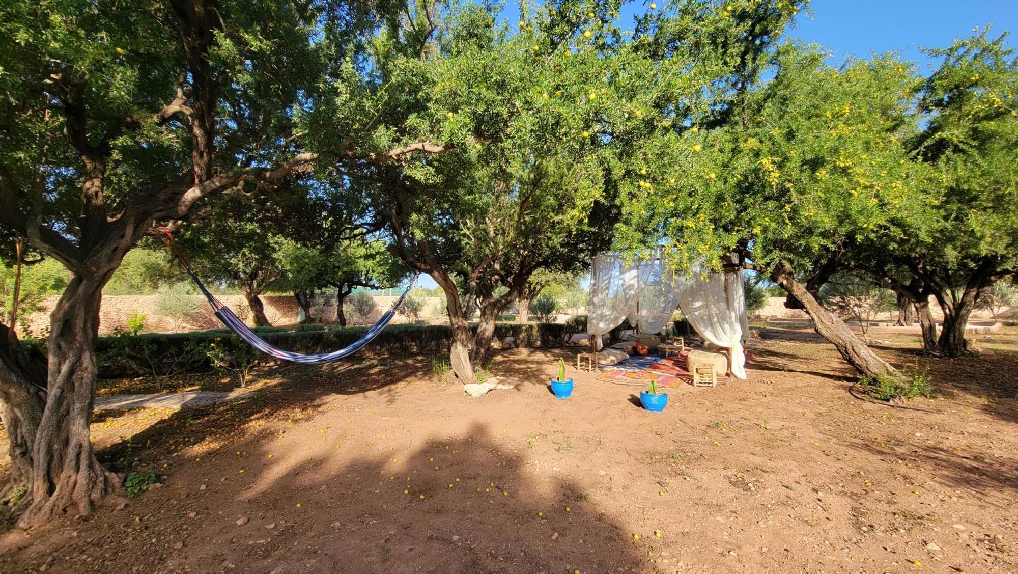Villa Dar Ez-Zine Ounara Esterno foto